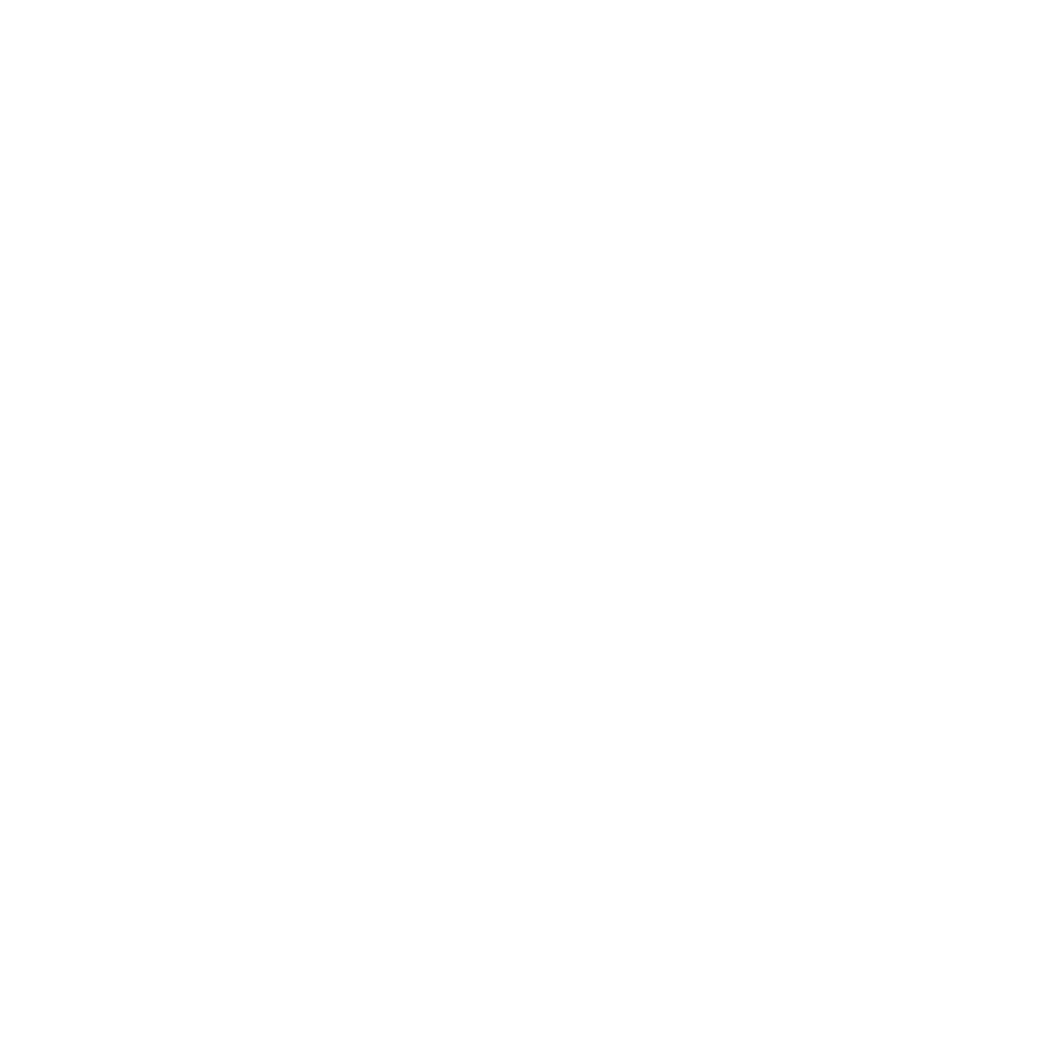 home appraisal icon